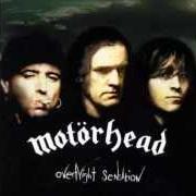 Der musikalische text LOVE CAN'T BUY YOU MONEY von MOTORHEAD ist auch in dem Album vorhanden Overnight sensation (1996)