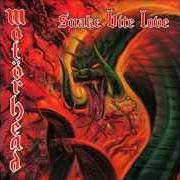 Der musikalische text DOGS OF WAR von MOTORHEAD ist auch in dem Album vorhanden Snake bite love (1998)