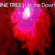 Der musikalische text ALWAYS NEVER von PORCUPINE TREE ist auch in dem Album vorhanden Up the downstairs (1993)