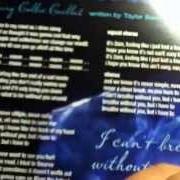 Der musikalische text UNTOUCHABLE von TAYLOR SWIFT ist auch in dem Album vorhanden Fearless (platinum edition)