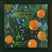 Der musikalische text PARADISE IS VERY FRAGILE von LANA DEL REY ist auch in dem Album vorhanden Violet bent backwards over the grass (2020)