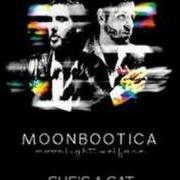 Der musikalische text 44100 INTERLUDE von MOONBOOTICA ist auch in dem Album vorhanden Moonlight welfare (2007)